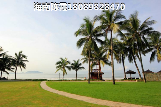 永泰山海自在 景观园林 永泰·山海自在整体鸟瞰图